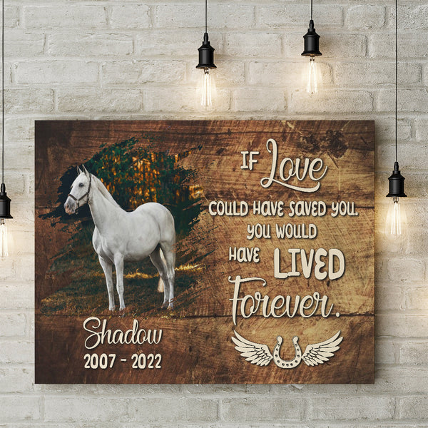 Horse Memorial Canvas Gift| Sympathy Gifts For Loss of Horse Horse Pet Bereavement NXM240
