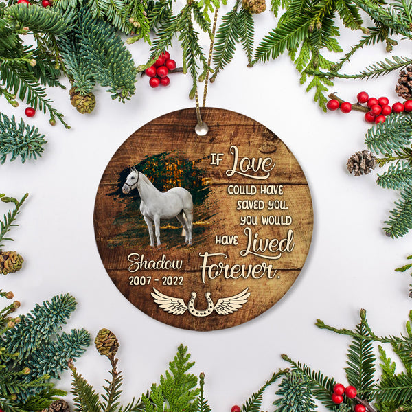 Horse Memorial Ornament Gift - Sympathy Gifts For Loss of Horse Remembrance MC62