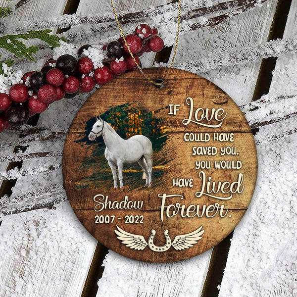 Horse Memorial Ornament Gift - Sympathy Gifts For Loss of Horse Remembrance MC62
