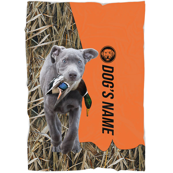 Silver Labrador Retriever Hunting Dog Custom Name Blanket, Gifts for Hunter FSD4630