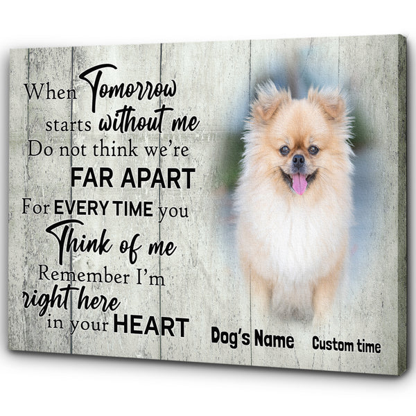 Personalized Memorial Gifts for Loss of Dog Cat Breavement Sympathy Canvas with Your Custom Photo VTQ31