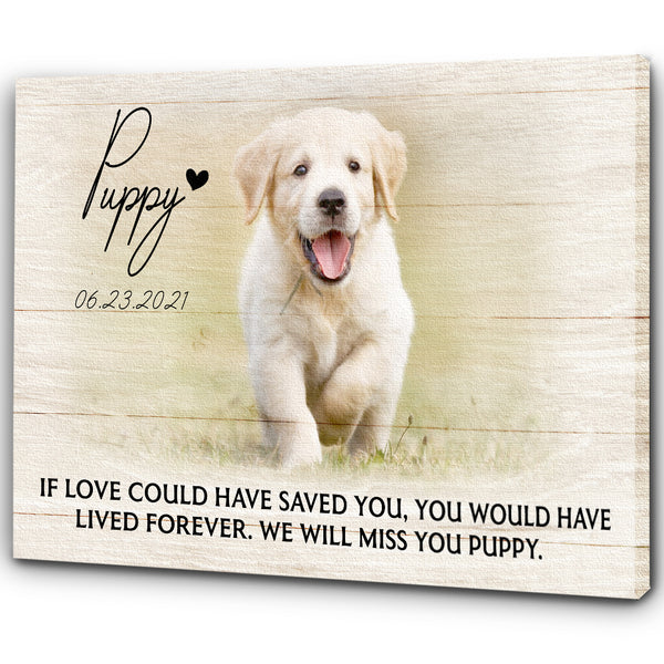 Personalized Canvas| Pet Loss Memorial| If Love Could Have Saved You| Pet Remembrance, Loss of Dog, Loss of Cat Sympathy Gift for Pet Owners, Paw Friend| N1922 Myfihu