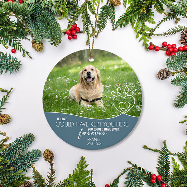 Pet Memorial Ornament Custom Photo - Pet in Heaven, Pet Loss Christmas Ornament, Remembrance for Loss of Dog, Loss of Cat, Sympathy Gift for Dog Owners| NOM21