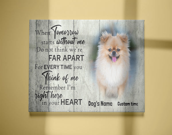 Personalized Memorial Gifts for Loss of Dog Cat Breavement Sympathy Canvas with Your Custom Photo VTQ31