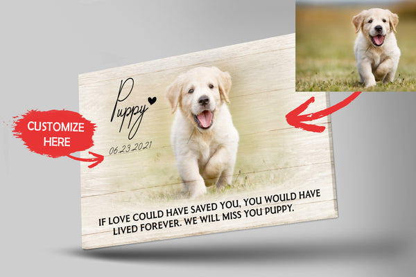 Personalized Canvas| Pet Loss Memorial| If Love Could Have Saved You| Pet Remembrance, Loss of Dog, Loss of Cat Sympathy Gift for Pet Owners, Paw Friend| N1922 Myfihu