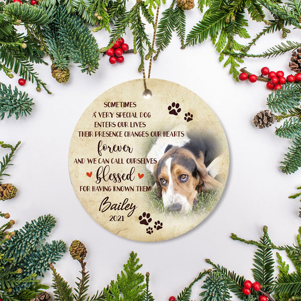 Dog Memorial Ornament - Special Dog Enters Our Lives, Dog Loss Ornament, Remembrance Loss of Dog, Sympathy Gift for Dog Owners| NOM122