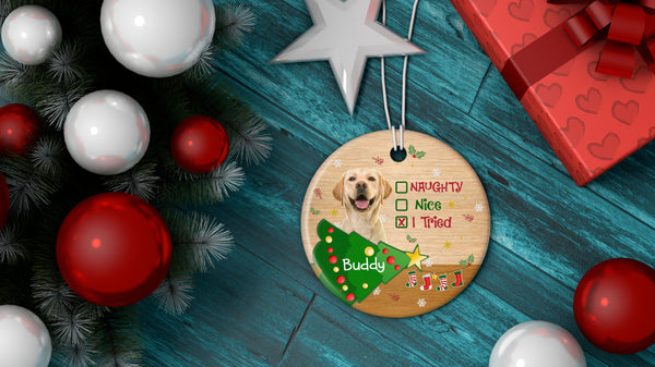 Naughty Pet Ornament - Custom Dog/Cat Photo Ornament Xmas Decor for Dog Owners, Cat Lovers, Dog Mom, Dog Dad| NOM04