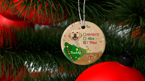 Naughty Pet Ornament - Custom Dog/Cat Photo Ornament Xmas Decor for Dog Owners, Cat Lovers, Dog Mom, Dog Dad| NOM04