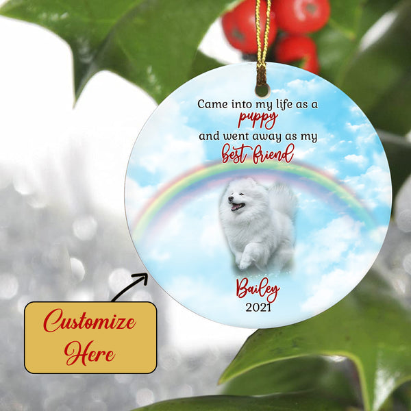 Pet Memorial Ornament - Went away As My Best Friend, Pet Loss Ornament, Remembrance Loss of Dog, Loss of Cat, Sympathy Gift for Dog Owners| NOM123