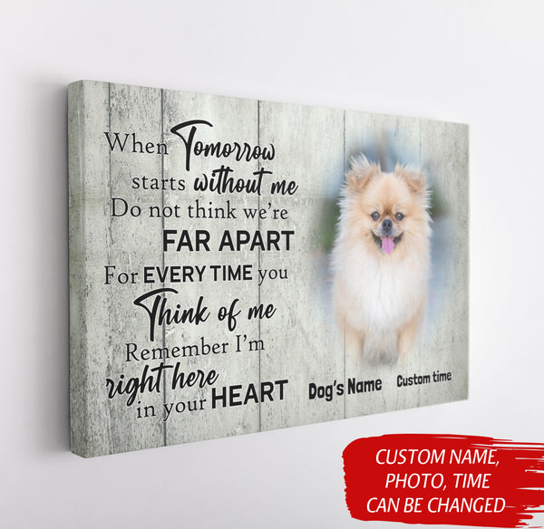 Personalized Memorial Gifts for Loss of Dog Cat Breavement Sympathy Canvas with Your Custom Photo VTQ31