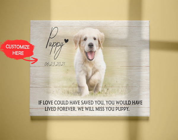 Personalized Canvas| Pet Loss Memorial| If Love Could Have Saved You| Pet Remembrance, Loss of Dog, Loss of Cat Sympathy Gift for Pet Owners, Paw Friend| N1922 Myfihu