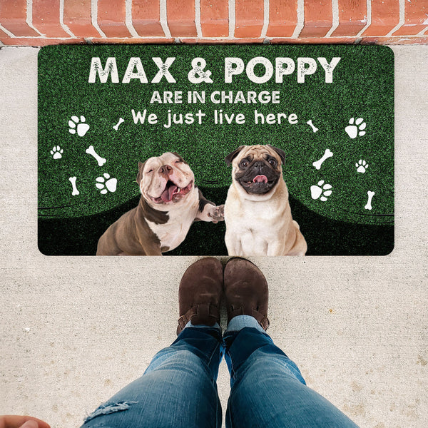 Funny Dog Doormat - Personalized Dog Doormat, Dog Lover Gift, Funny Welcome Doormat Gift for Dog Dad, Dog Mom, Dog Owner, Dog Lover - JDM45 - A02M03